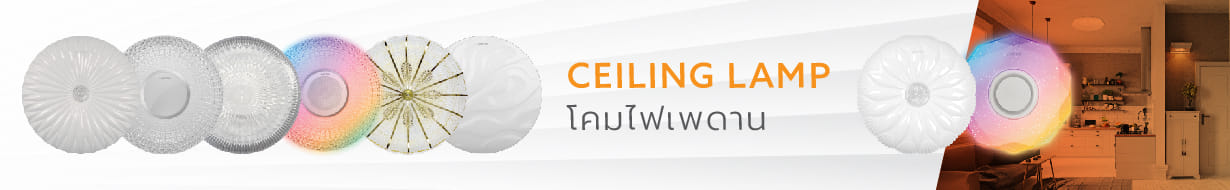 CEILING LAMPS
