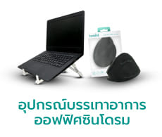 Ergonomic Office Set