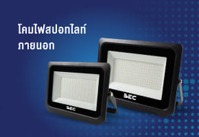 Outdoor Spotlights