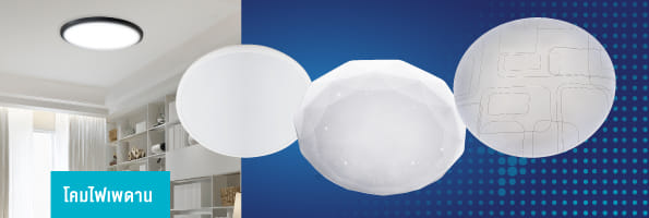 Ceiling Lamps