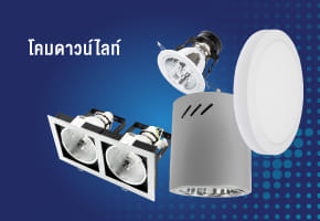 Downlight Lamps