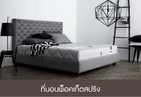 ที่นอนพ็อตเก็ตสปริง