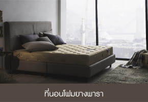 ที่นอนโฟมยางพารา