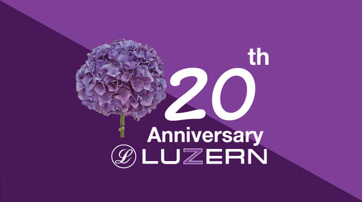 Anniversary 20th