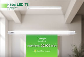 NAGAS T8 ECO