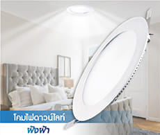 Downlight Lamps