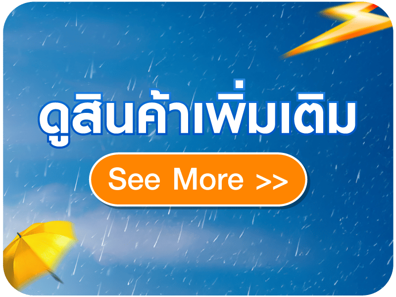 See More