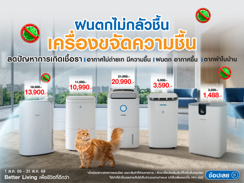 ขจัดความชื้น