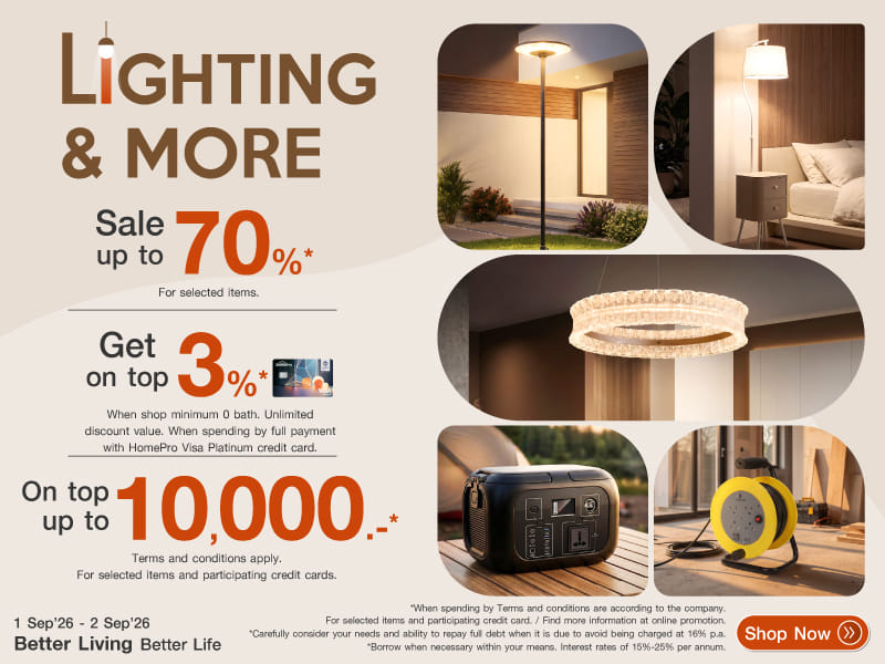 Lighting & More