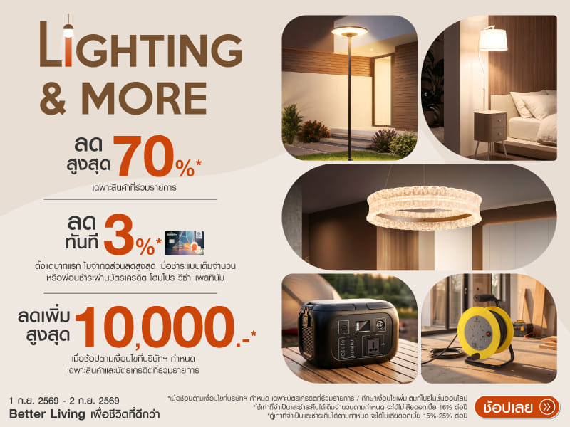 Lighting & More