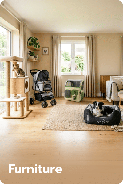 Furniture for Pet-Friendly Living