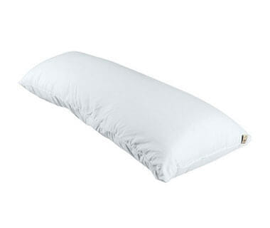 cate-Body Pillows