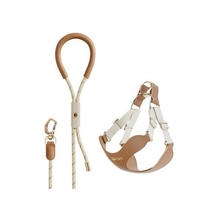 cate-Collar & Leash & Muzzle