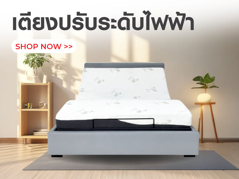 เตียงปรับระดับไฟฟ้า