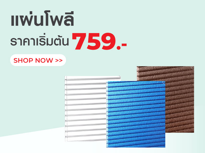 แผ่นโพลี