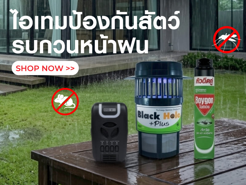 ไอเทมป้องกันสัตว์รบกวนหน้าฝน