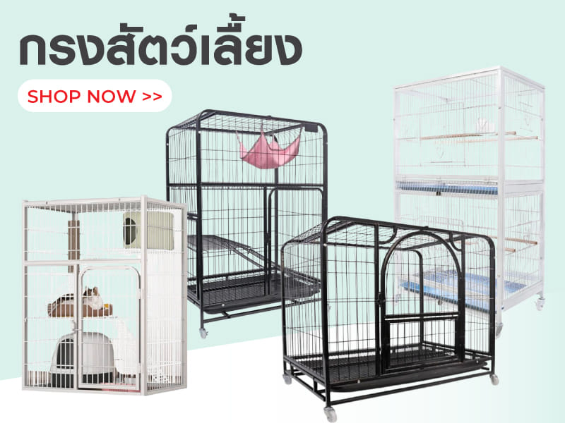 กรงสัตว์เลื้ยง