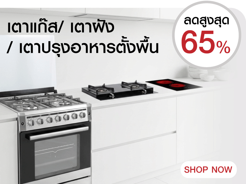Gas Stove