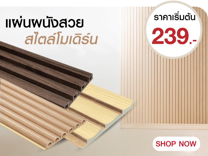 แผ่นผนัง