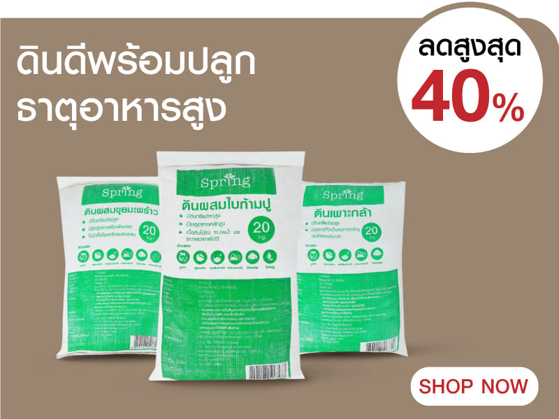 ดินดีพร้อมปลูก ธาตุอาหารสูง