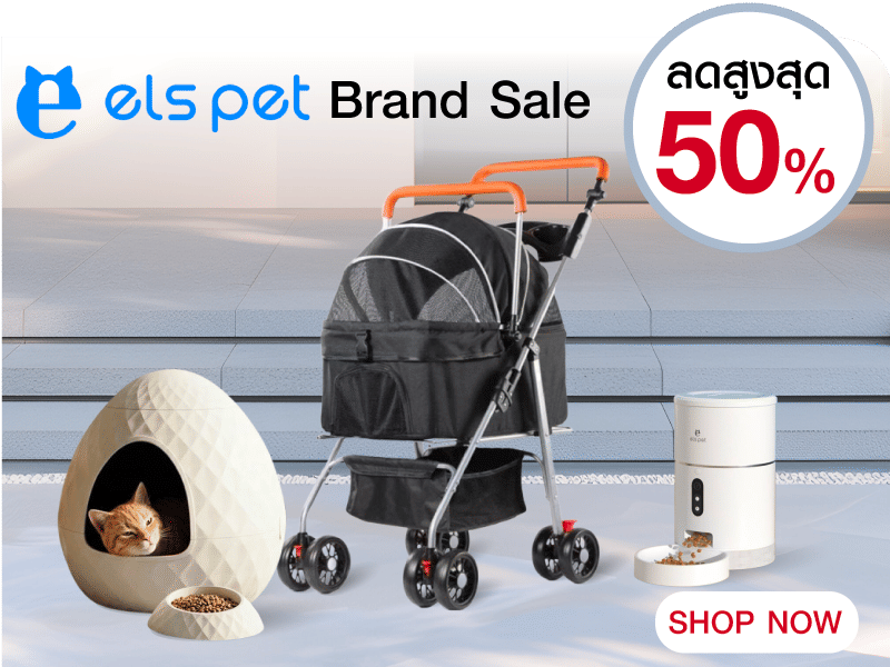 DPETT Brand Sale