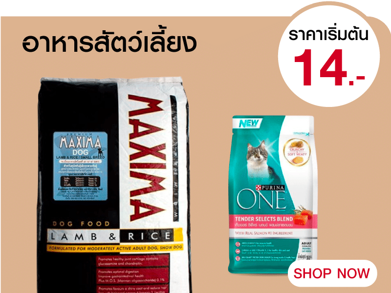 อาหารสัตว์เลี้ยง