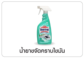 ขจัดคราบไขมัน