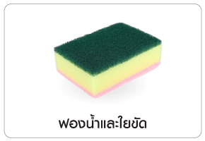 ฟองน้ำและใยขัด