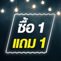 1 แถม 1