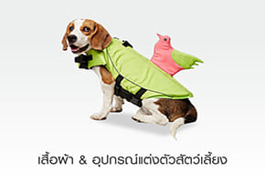 เสื้อผ้า & อุปกรณ์แต่งตัวสัตว์เลี้ยง
