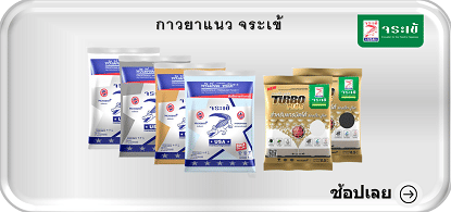 กาวยาแนว