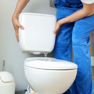 cate-Sanitary Ware Installation