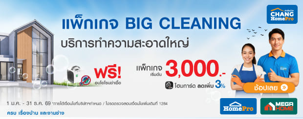 Big cleaning