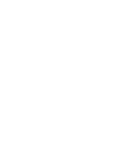 branch-icon