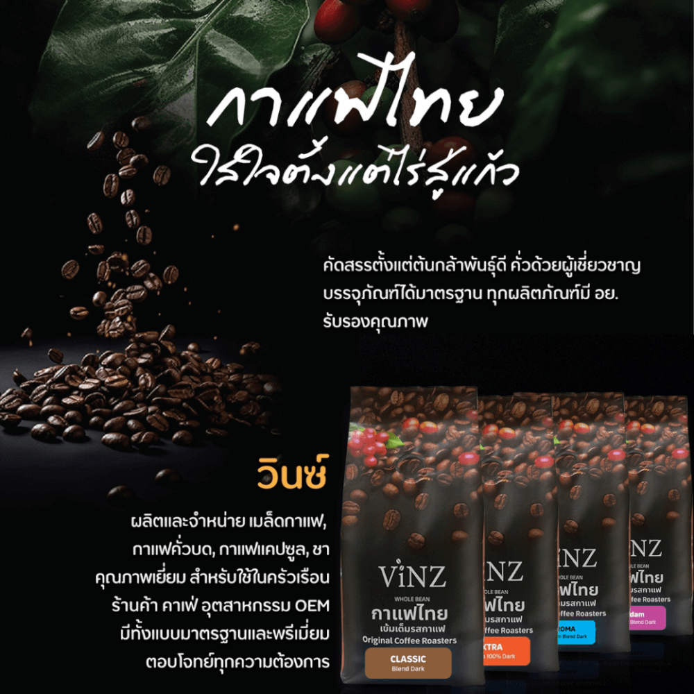 เมล็ดกาแฟ ViNZ ดอยช้าง คลาสสิค อาราบิก้า เบลน โรบัสต้า,พีเบอร์รี่ คั่วเข้ม 4 ถุง (ถุงละ 250 กรัม)_2