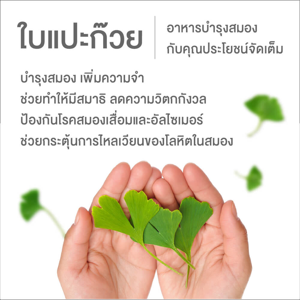 ผลิตภัณฑ์เสริมอาหาร INTERCARE แอคทีฟบี พลัส จิงโกะ (1 กระปุก : 60 เม็ด)