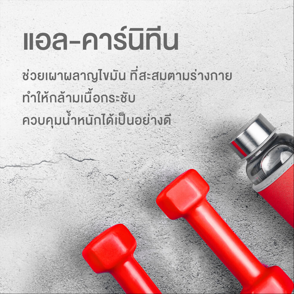 ผลิตภัณฑ์เสริมอาหาร INTERCARE แอล-คาร์นิทีน 500 พลัส (1 กระปุก : 60 เม็ด)