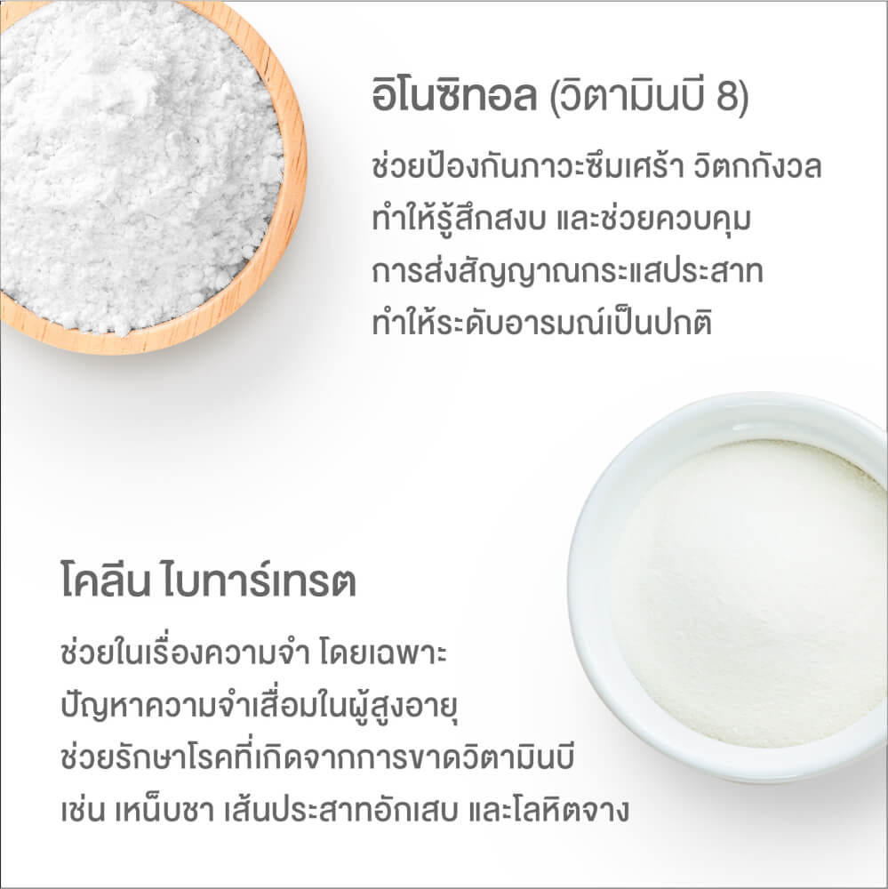 ผลิตภัณฑ์เสริมอาหาร INTERCARE แอคทีฟบี พลัส จิงโกะ (1 กระปุก : 60 เม็ด)