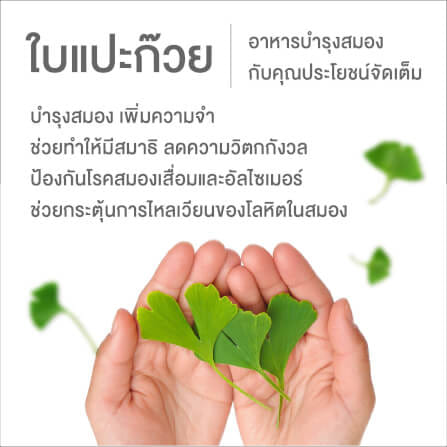 ผลิตภัณฑ์เสริมอาหาร INTERCARE แอคทีฟบี พลัส จิงโกะ (แพ็คคู่ 30 เม็ด 2 กระปุก)_2