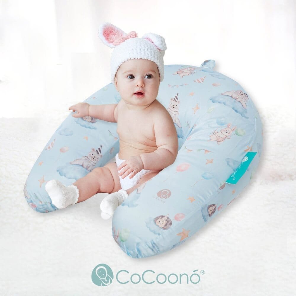 หมอนให้นม CoCoono Nursing pillow  Rainbow Bobby bear