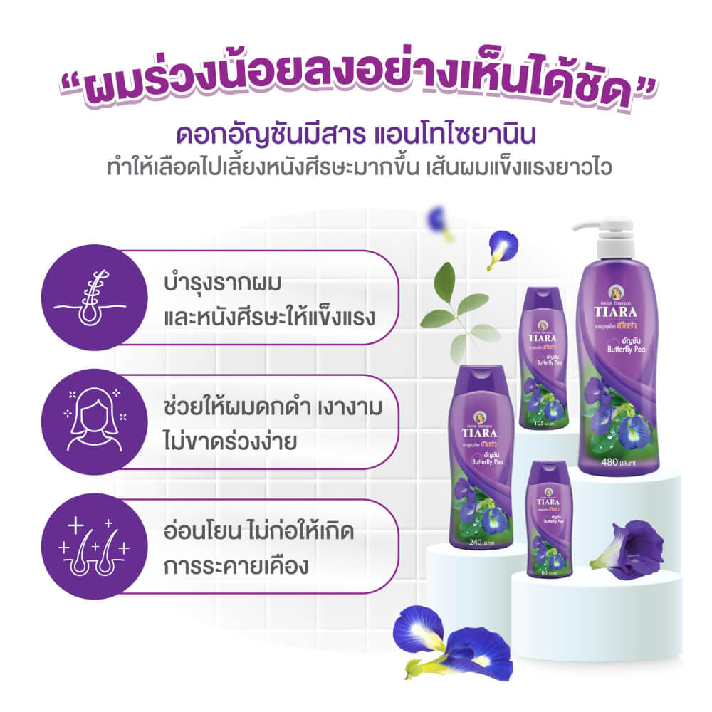 แชมพูสมุนไพร TIARA อัญชัน 240 มล.+ครีมนวดผมสมุนไพรเทียร่า อัญชัน 160 มล.