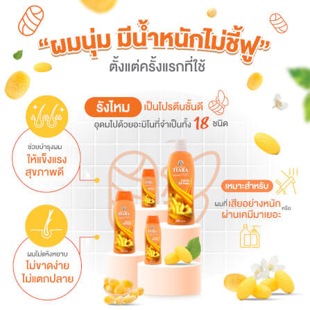 แชมพูสมุนไพร TIARA โปรตีนไหม 240 มล.+ครีมนวดผมสมุนไพรเทียร่า โปรตีนไหม 160 มล._2