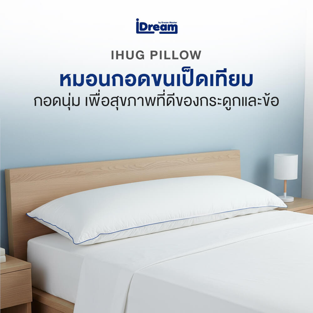 หมอนสุขภาพ IDREAM รุ่น IHUG BODY