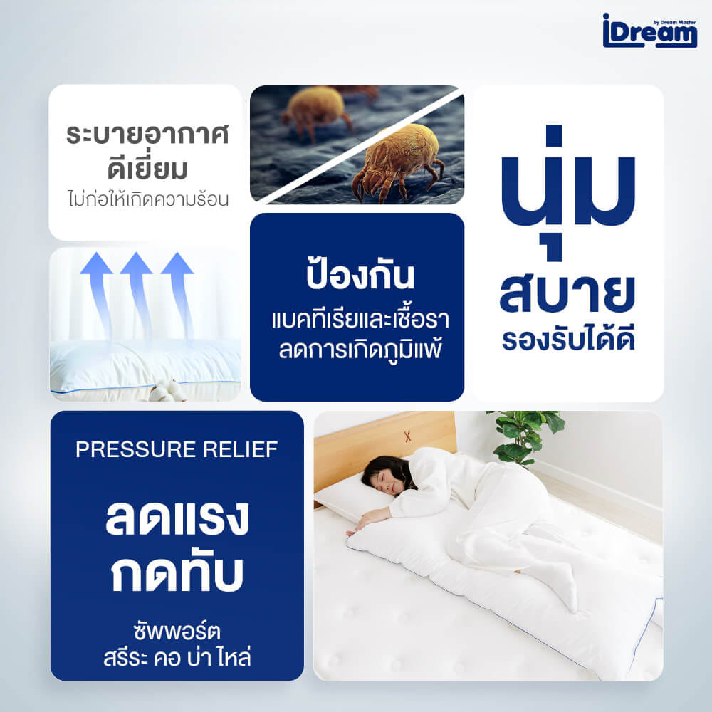 หมอนสุขภาพ IDREAM รุ่น IHUG BODY