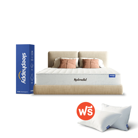 ที่นอน 3.5 ฟุต SLEEPHAPPY SPLENDID_0