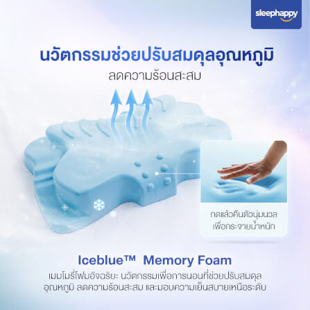 หมอนเมมโมรี่โฟมสุขภาพ SLEEPHAPPY รุ่น BUTTERFLY PILLOW_4