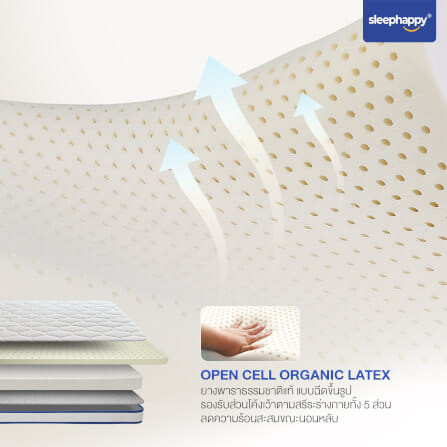 ที่นอน 3 พับ 3.5 ฟุต SLEEPHAPPY 3 FOLD LATEX LITE_4