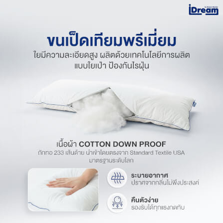 หมอนสุขภาพ IDREAM รุ่น IHUG BODY_6
