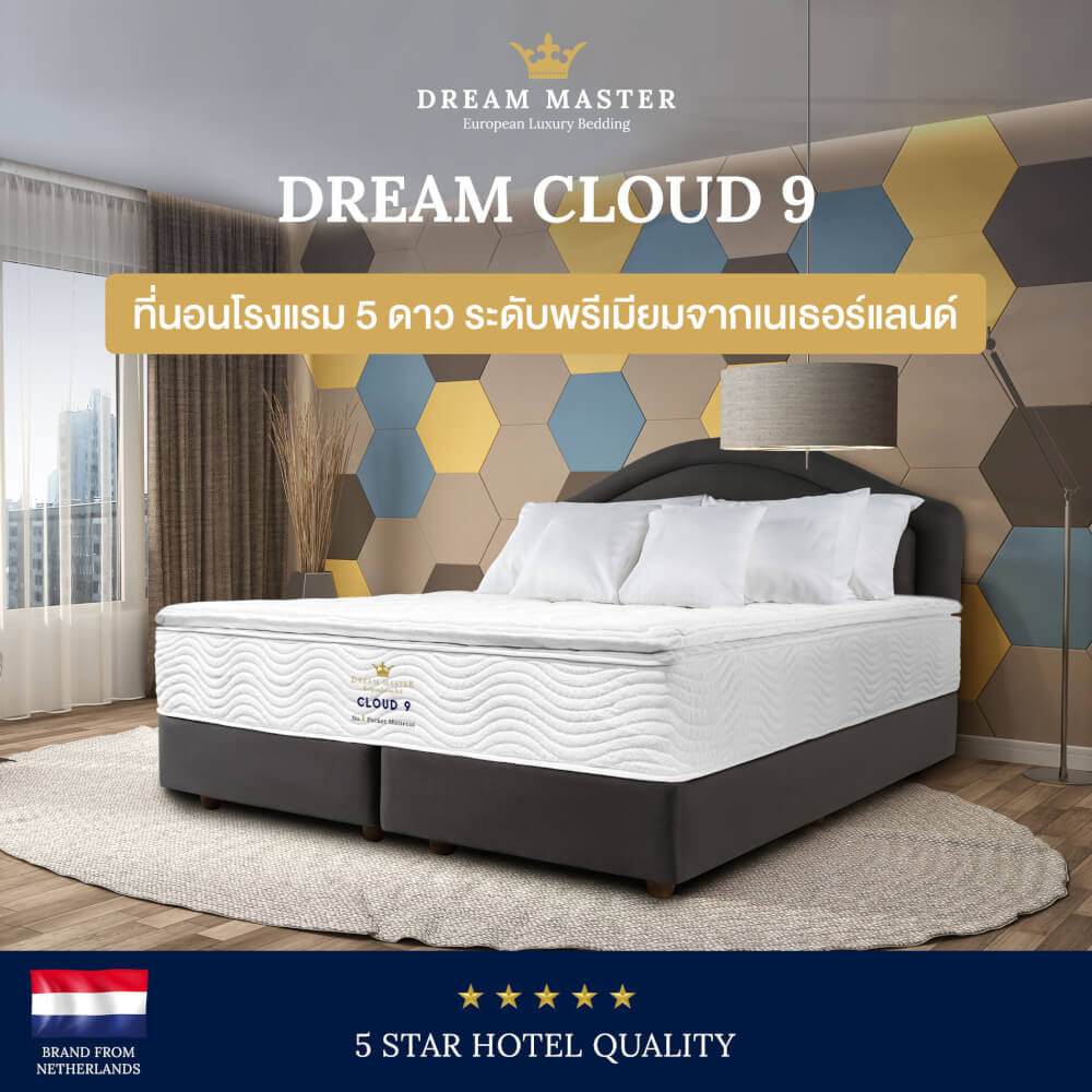 ที่นอน 3.5 ฟุต DREAM MASTER CLOUD 9