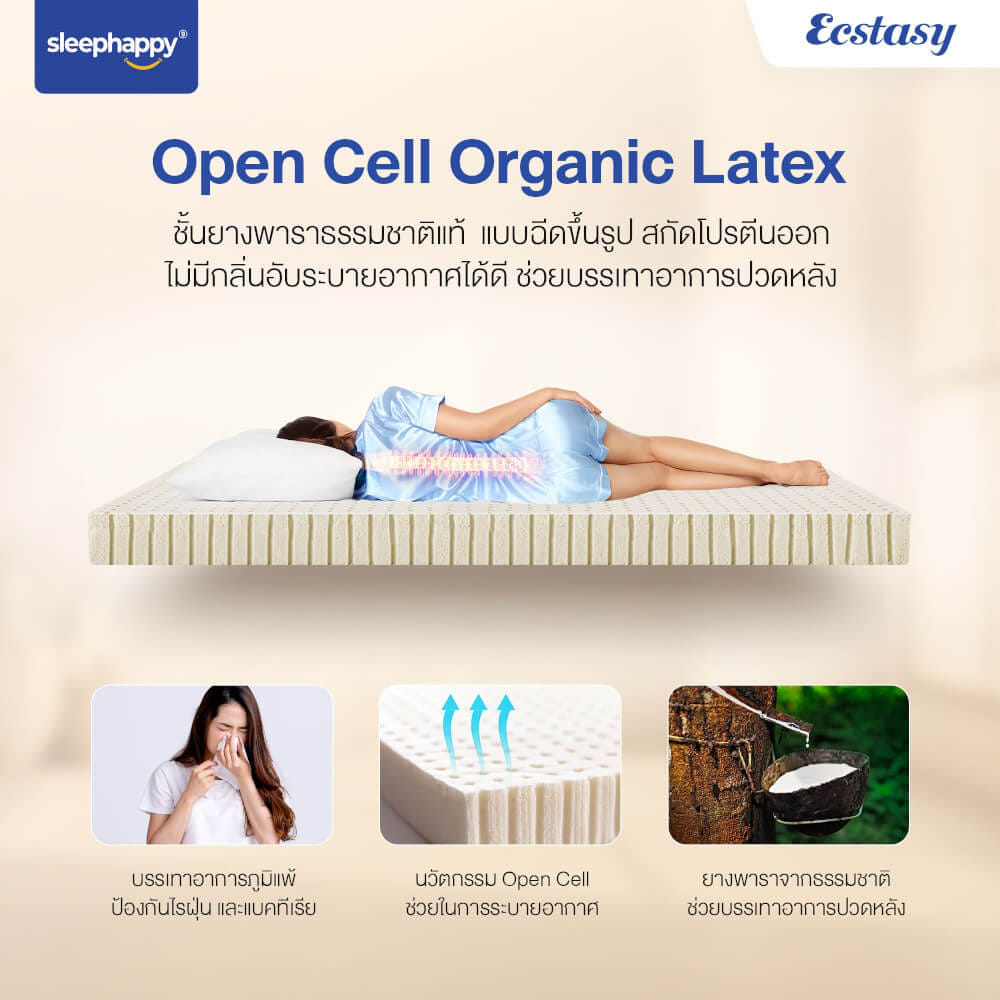 ที่นอน 3.5 ฟุต SLEEPHAPPY ECSTASY_6